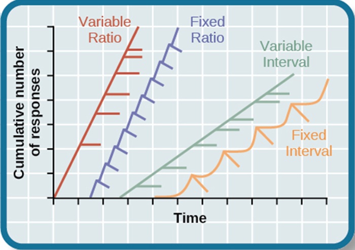 Phần thưởng Biến thiên (Variable Ratio Reinforcement) 2 Phần thưởng Biến thiên (Variable Ratio Reinforcement)