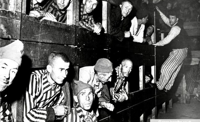 Viktor E. Frankl - Phượng hoàng tái sinh từ Auschwitz