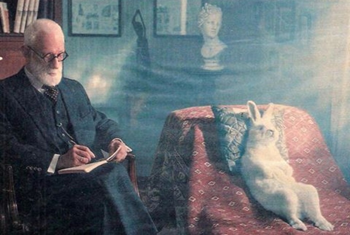 Phân Tâm Học (Psychoanalysis): Giải Mã Vô Thức & Bản Ngã
