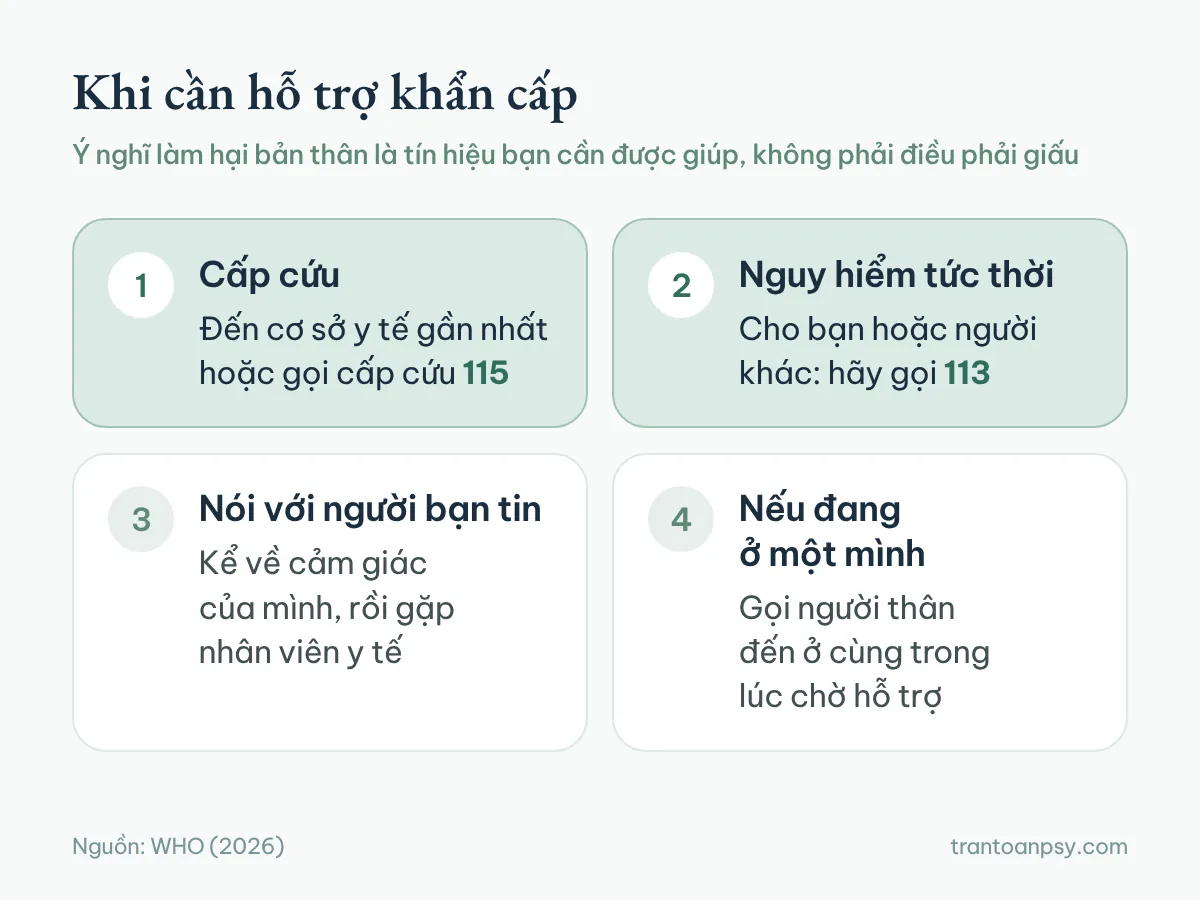 Bốn việc khi cần hỗ trợ khẩn cấp: đến cơ sở y tế hoặc gọi cấp cứu 115, gọi 113 khi nguy hiểm tức thời, nói với người bạn tin, gọi người thân đến ở cùng nếu đang ở một mình