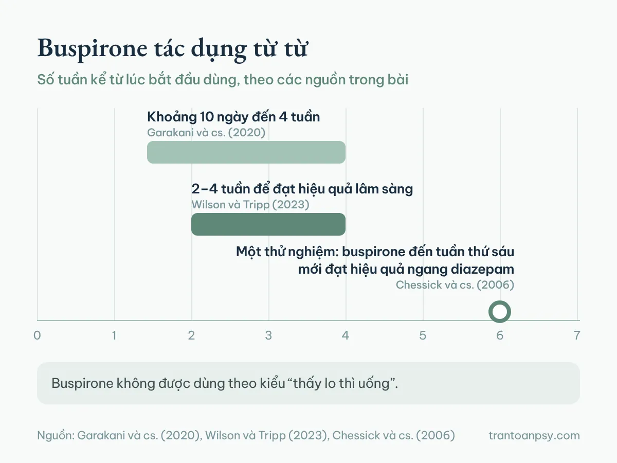 Trục thời gian theo tuần: khoảng 10 ngày đến 4 tuần, 2 đến 4 tuần để đạt hiệu quả lâm sàng, và một thử nghiệm cần đến tuần thứ sáu để đạt hiệu quả ngang diazepam
