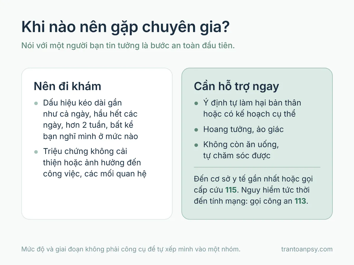 Các mức độ trầm cảm: Nhẹ, vừa, nặng và trầm cảm có mấy giai đoạn 4 Khi nào nên đi khám trầm cảm và khi nào cần hỗ trợ ngay, kèm số cấp cứu 115 và công an 113