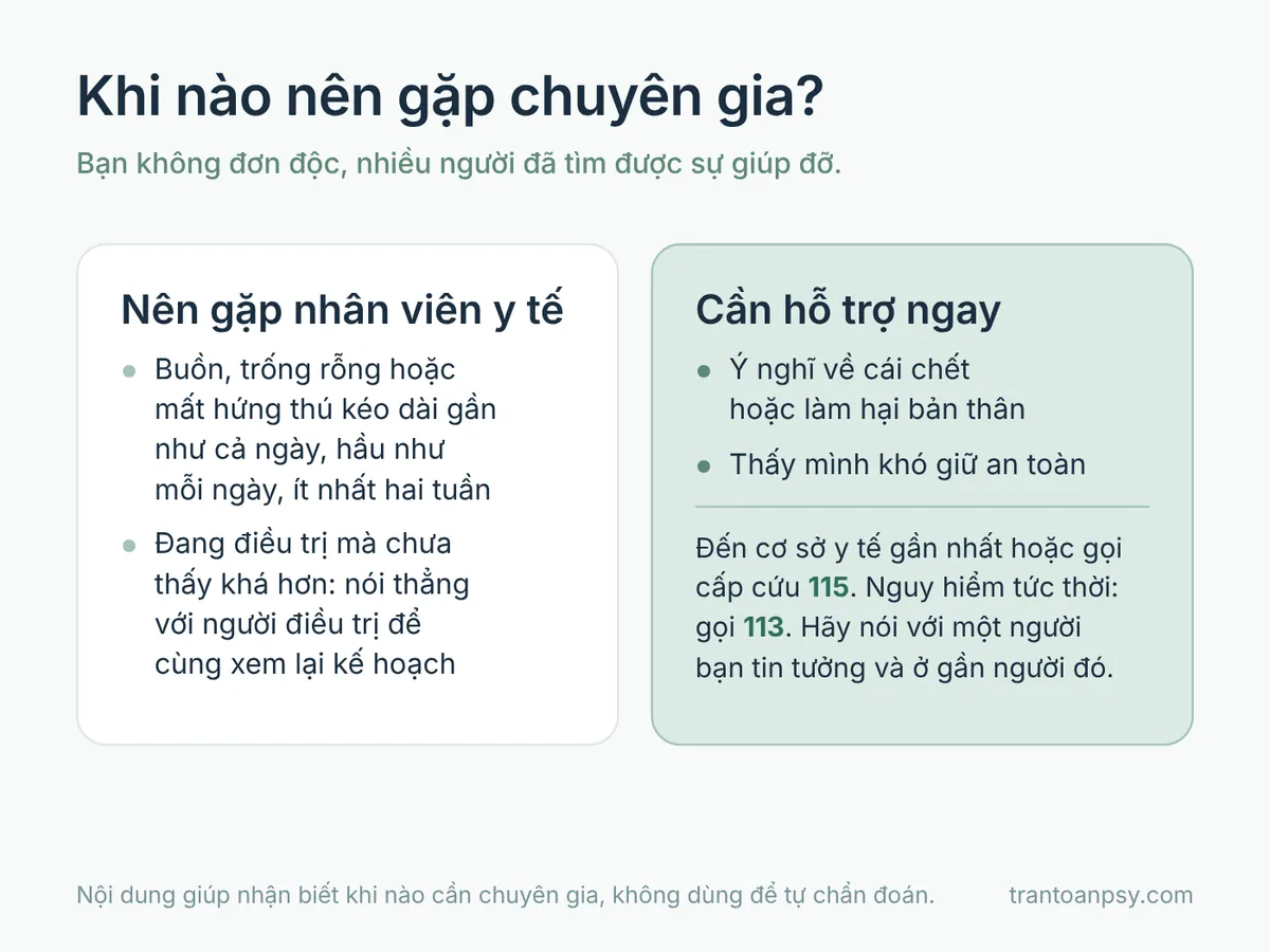 Trầm cảm có chữa được không? Tiên lượng và các hướng điều trị 5 Khi nào nên gặp nhân viên y tế về trầm cảm và khi nào cần hỗ trợ ngay, kèm số cấp cứu 115 và công an 113
