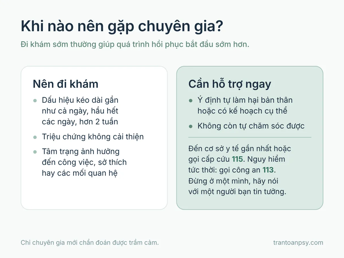 Khi nào nên đi khám trầm cảm và khi nào cần hỗ trợ ngay, kèm số cấp cứu 115 và công an 113