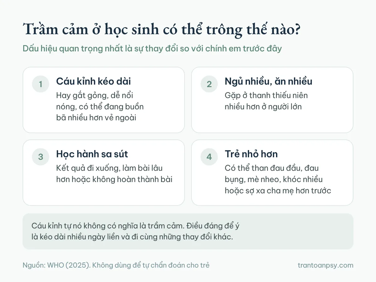 Bốn biểu hiện có thể gặp ở học sinh: cáu kỉnh kéo dài, ngủ và ăn nhiều, học sa sút, đau đầu đau bụng ở trẻ nhỏ