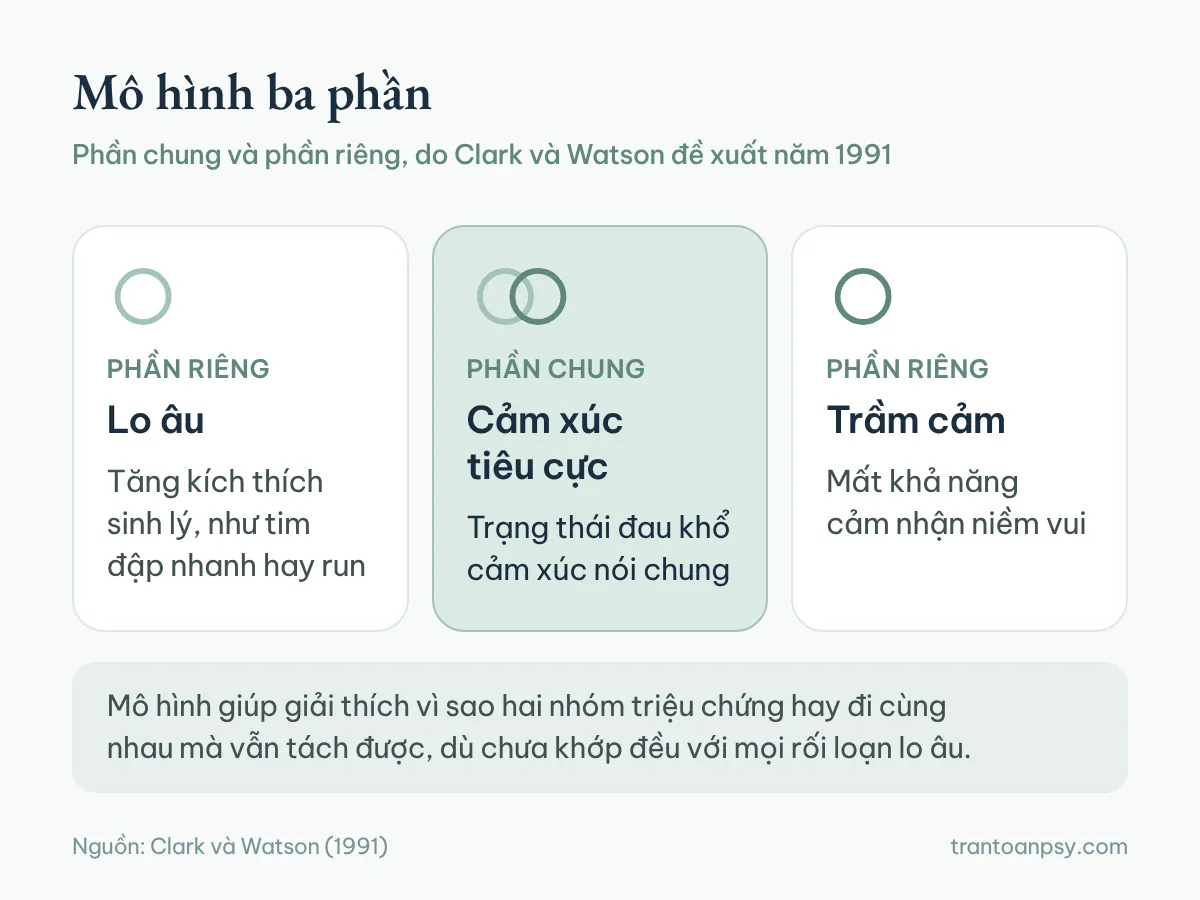Trầm cảm và rối loạn lo âu: Khác nhau ở đâu, vì sao hay đi cùng? 3 Mô hình ba phần của Clark và Watson: phần riêng của lo âu, phần chung là cảm xúc tiêu cực, phần riêng của trầm cảm