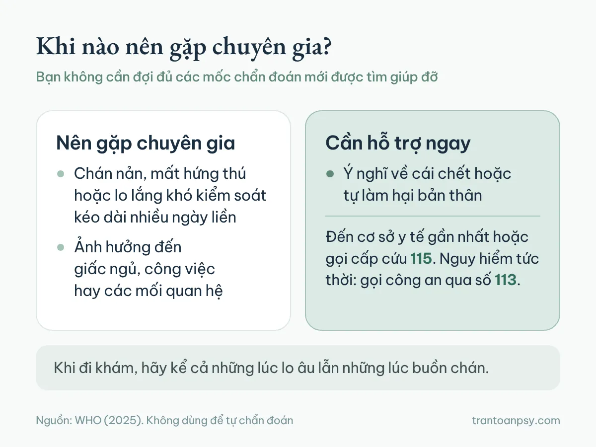 Trầm cảm và rối loạn lo âu: Khác nhau ở đâu, vì sao hay đi cùng? 5 Hai cột: khi nào nên gặp chuyên gia và khi nào cần hỗ trợ ngay, kèm hướng dẫn đến cơ sở y tế, gọi 115, gọi 113